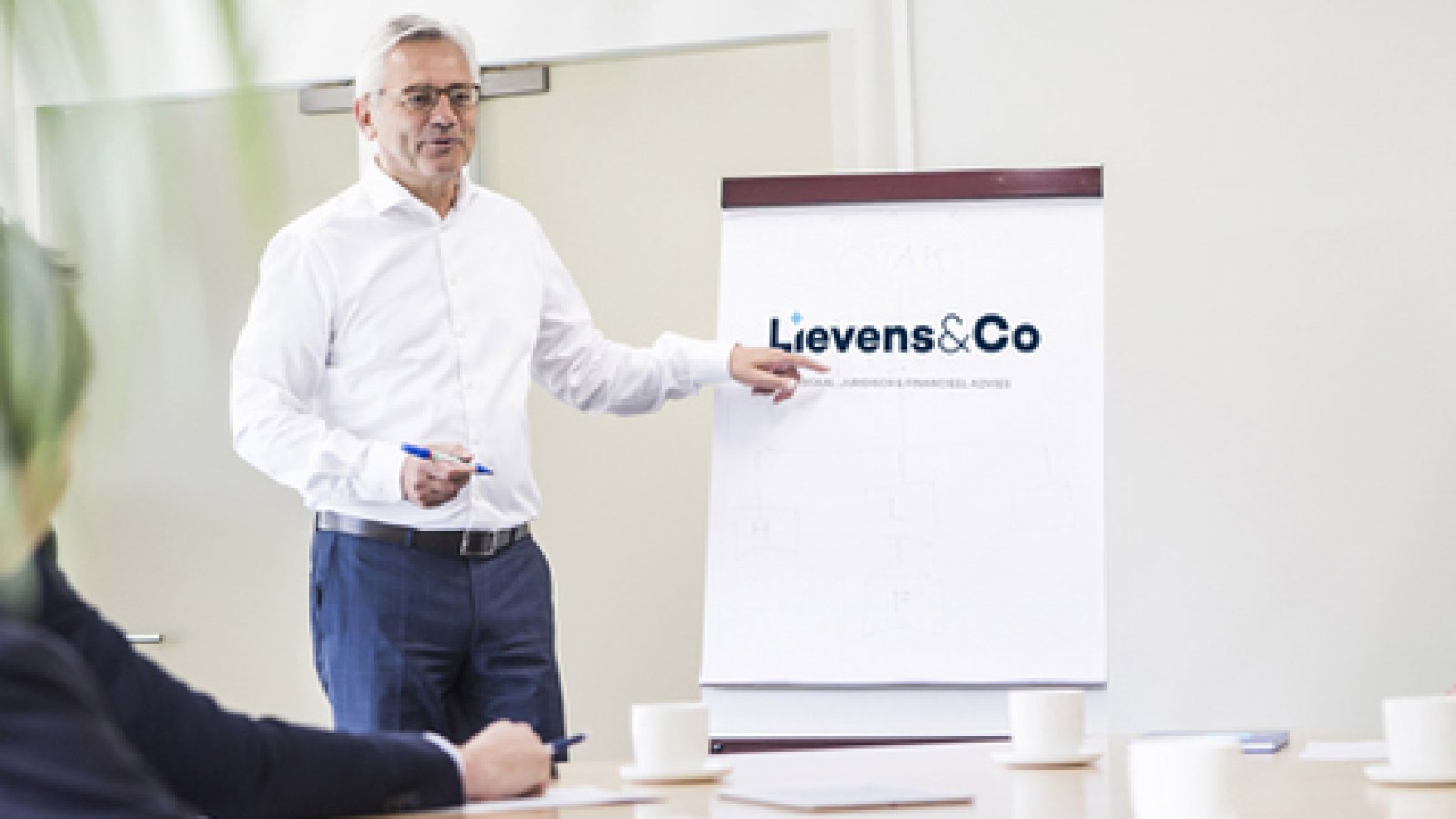 Lievens Ludo fiscale-wetenschappen