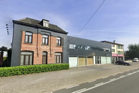 Albert Heijn_Geel