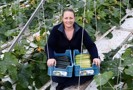 courgette