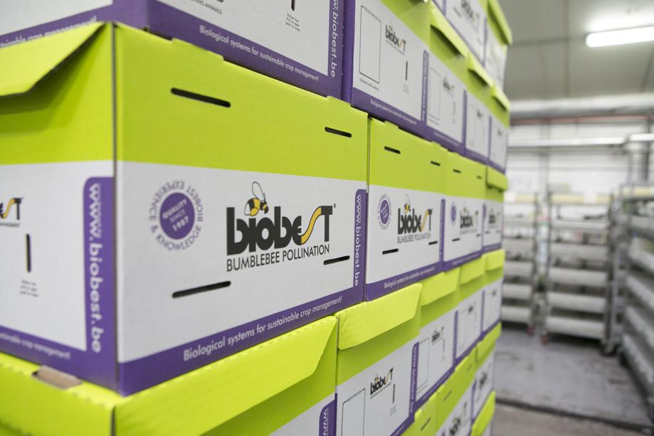 Biobest bekomt een kapitaalverhoging van 98,5 miljoen euro Made in