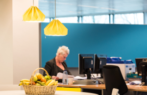 Graydon_Office (12)