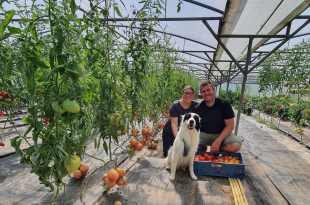 https___static.nieuwsblad.be_Assets_Images_Upload_2023_08_16_62a1e66d-69f2-45fd-afae-0578aa298c97