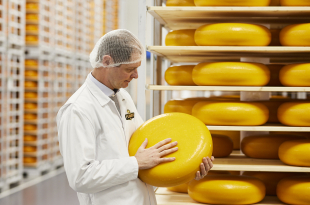 Flandrien Jan Desmet 23