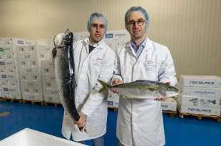 Vishandel Alfa Fish 5