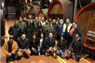 Brouwtalenten Mort Subite