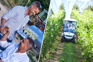 terroir-wijnsafari-herita