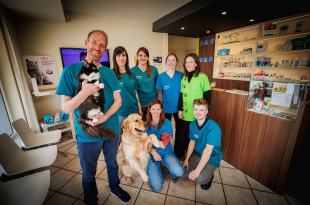 dierenartspraktijk Argos