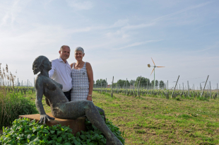 Wijndomein Bredene Boydens