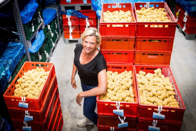 Daphne tussen de kroketten, in Eeklo