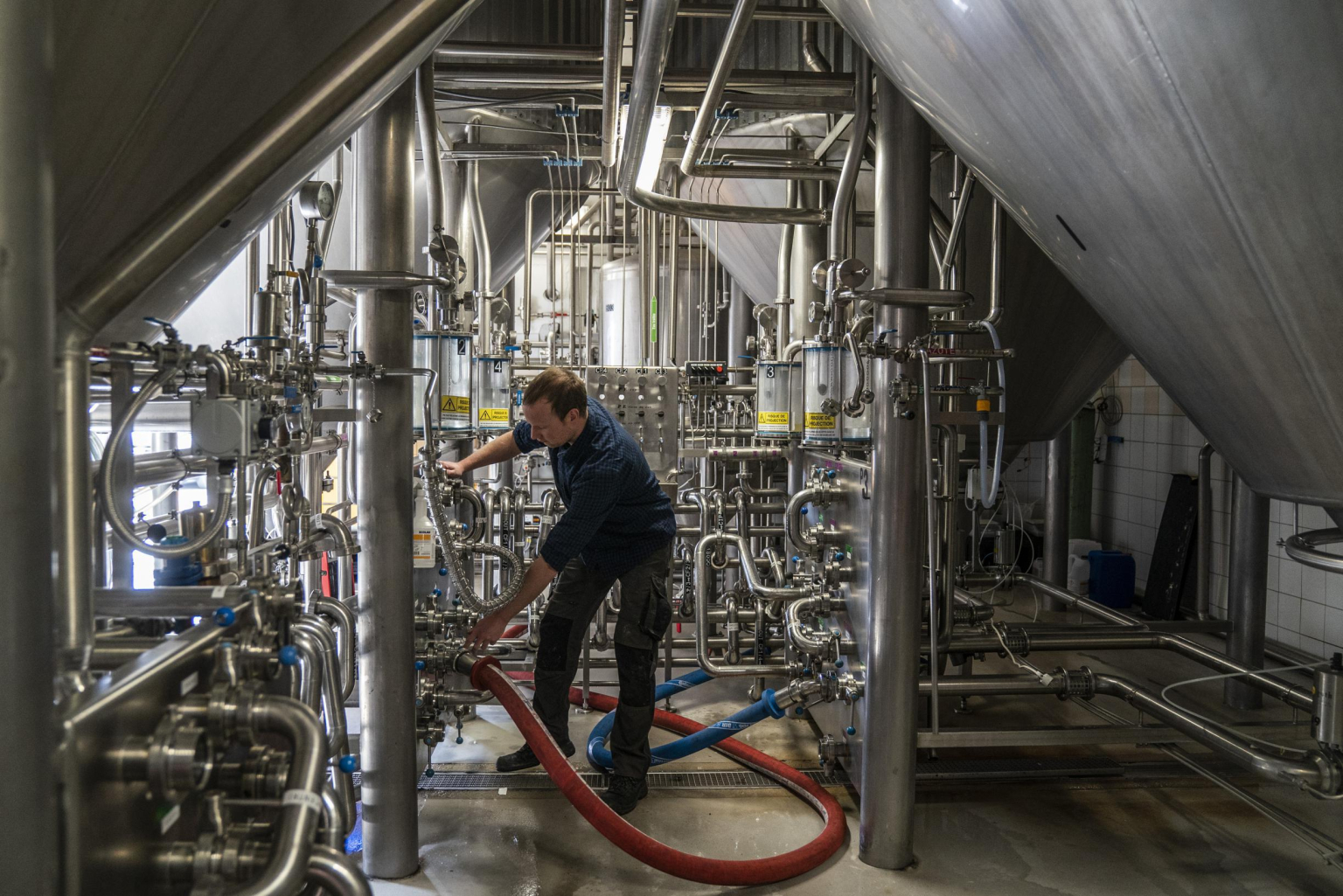 Brouwerij Haacht blaast 125 kaarsjes uit: “Het personeel is fier om ...