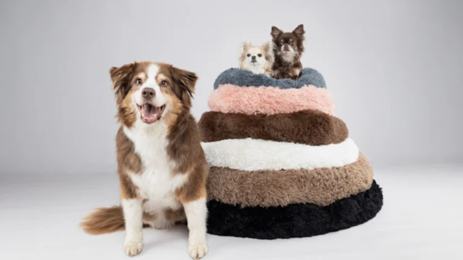 Flamingo Pet Products