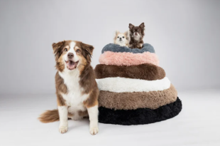 Flamingo Pet Products