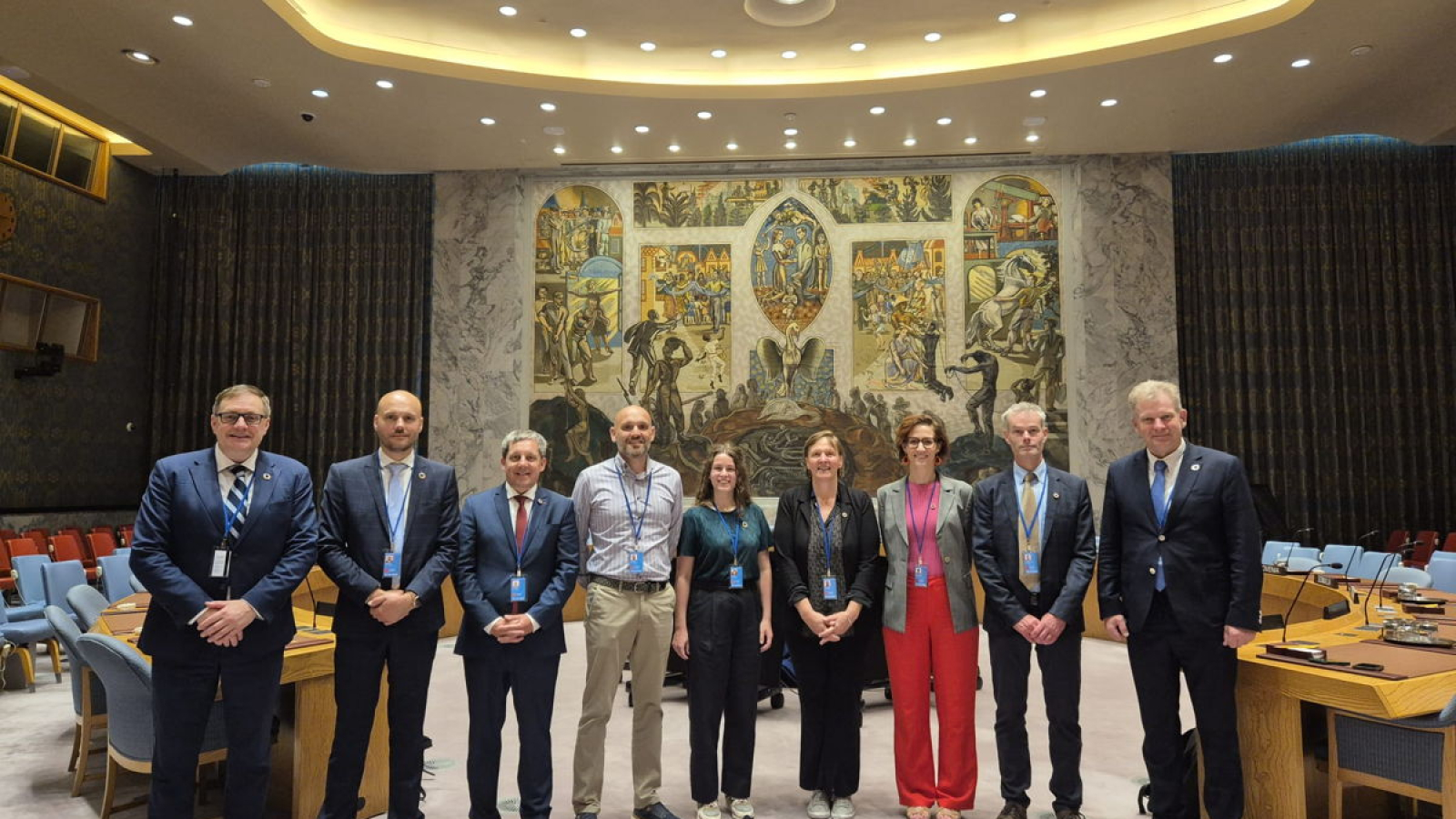 sDgS bij de Vn