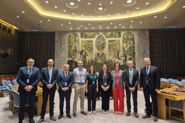 sDgS bij de Vn