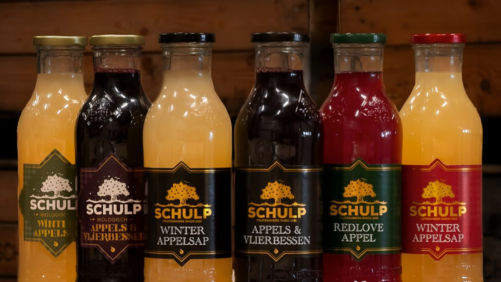 schulp