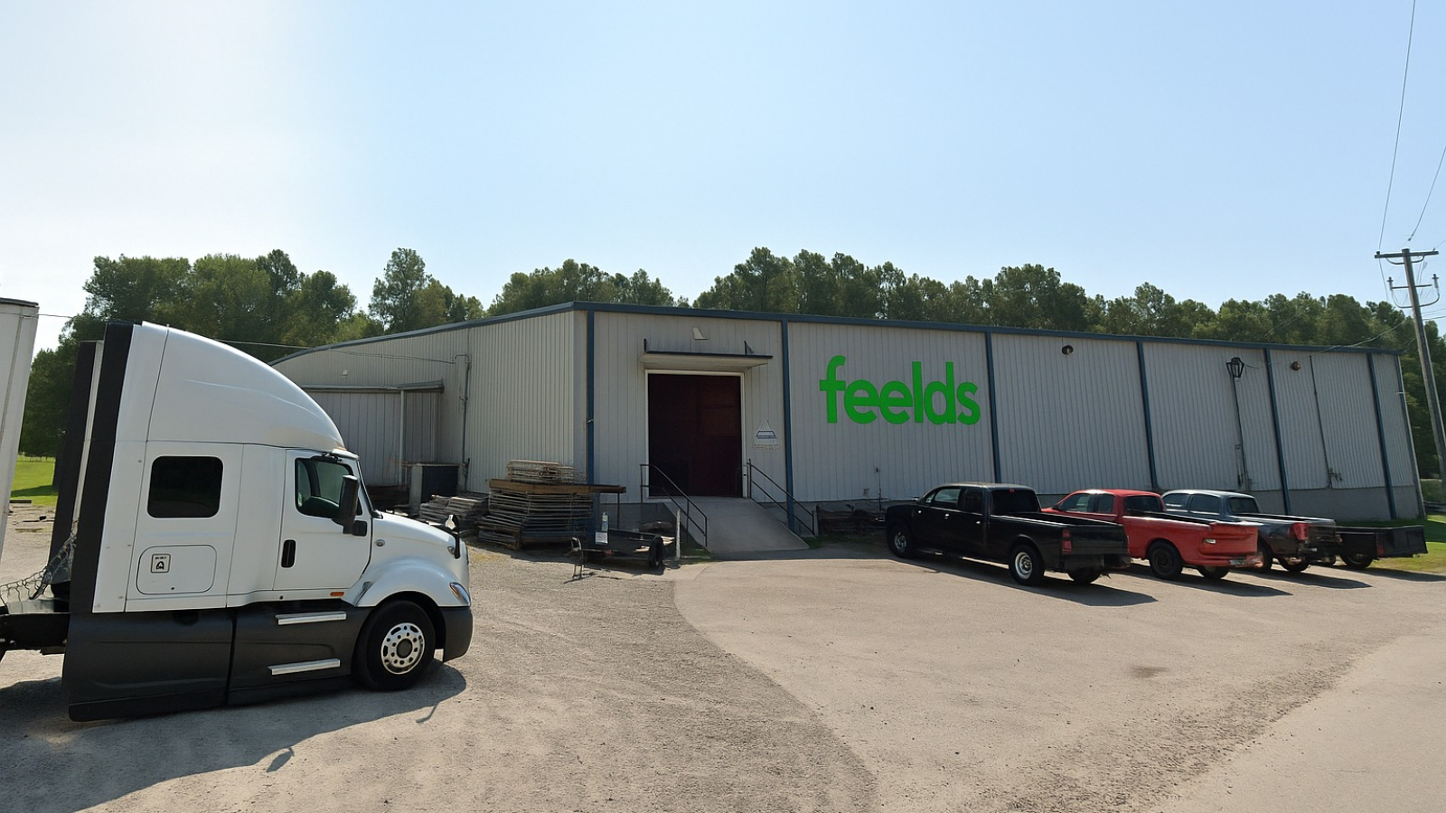 FEELDS USA