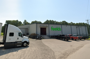 FEELDS USA
