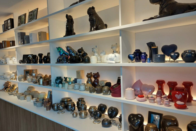 Amiticia Rijkevorsel urne