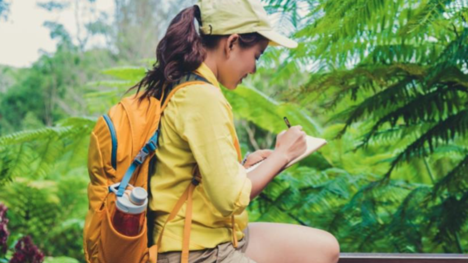 Aurora heeft dit jaar de gouden EcoVadis-medaille behaald