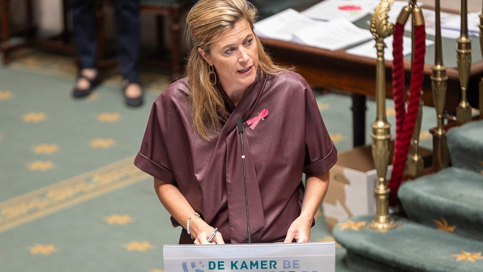 Federaal minister van Justitie Annelies Verlinden