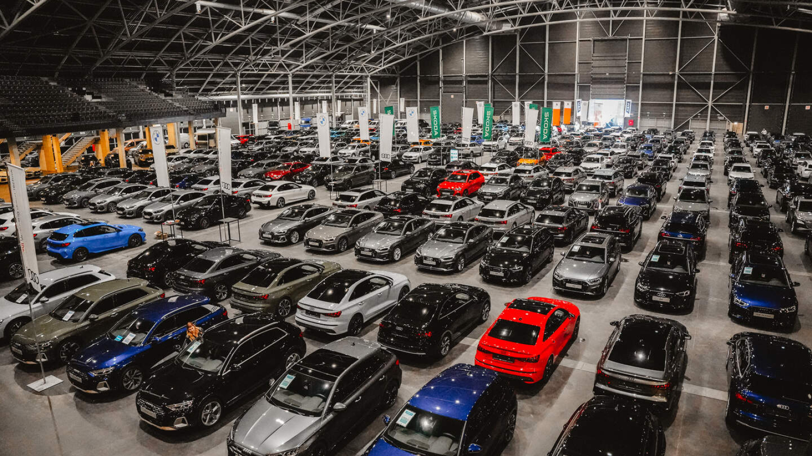 stockverkoop van AM Group Trixxo Arena Hasselt