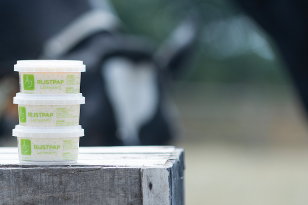 AJ Desserts Verse Rijstpap Lactosevrij