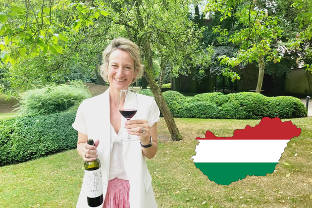 Ontwerp zonder titel (3)