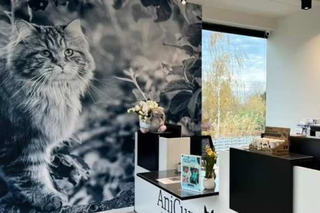 Schermafbeelding 2025-11-16 175401