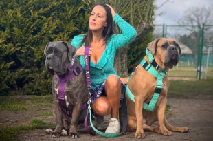 a burkas starterslabo