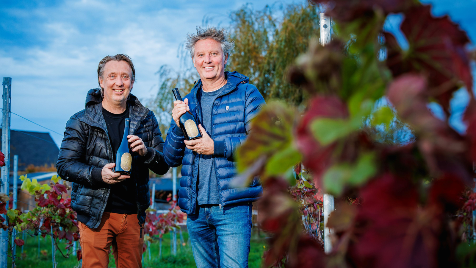 chris van tongelen wijn