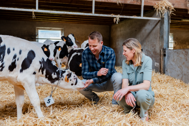 41c3505e-7018-11ef-b6f1-55c4335650be