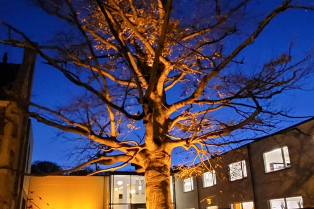 Groep Monument oranje