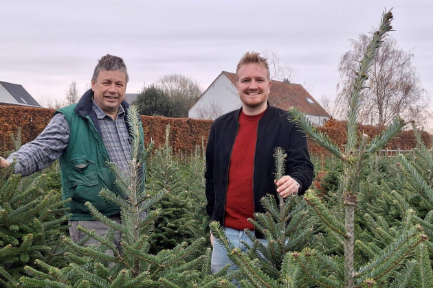 kerstboom uit Mechelse
