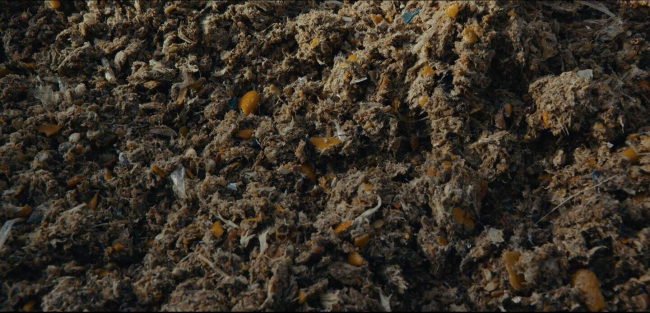 Fijngemalen voedselresten