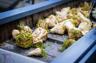 bieten Tiense suiker