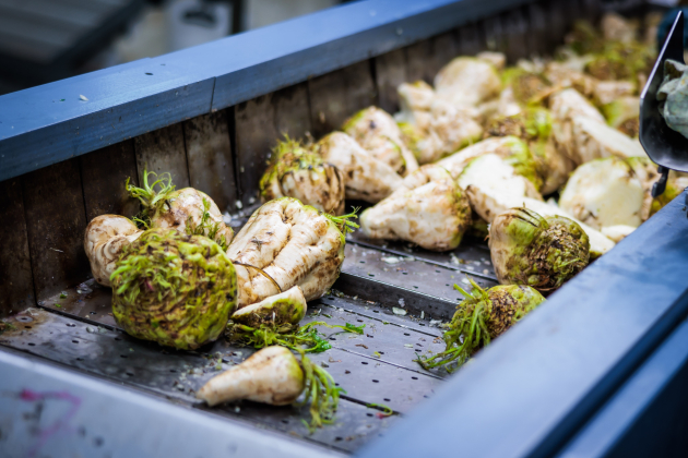 bieten Tiense suiker