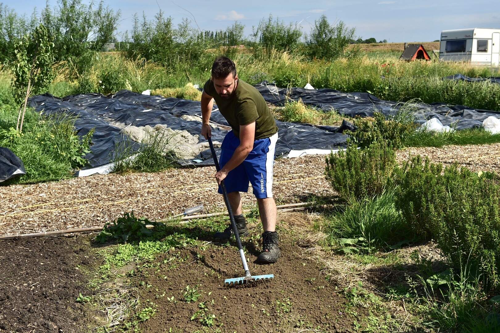 Mechelen zoekt landbouwers voor pacht van vijf percelen: 