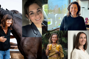 Top vijf Vlaams-Brabant