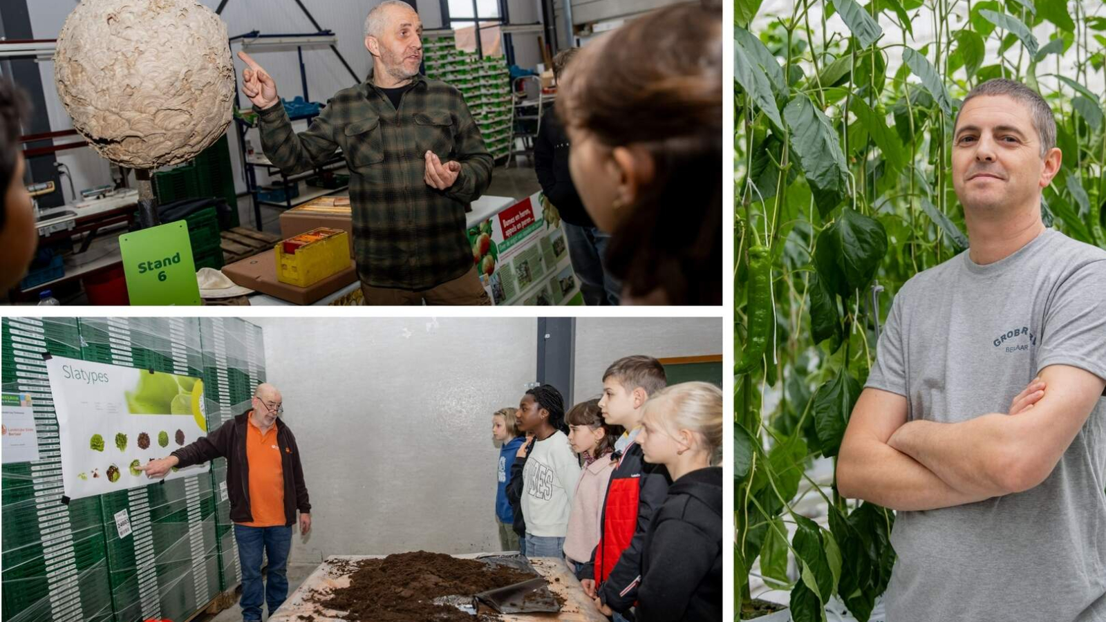 Boerendag Berlaar collage