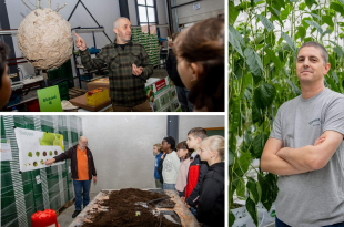 Boerendag Berlaar collage