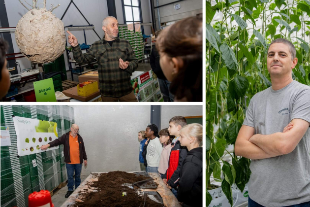 Boerendag Berlaar collage