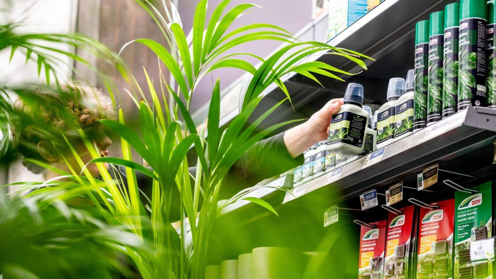 DCM bekroond als Best Brand 2026