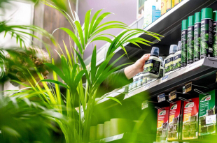 DCM bekroond als Best Brand 2026