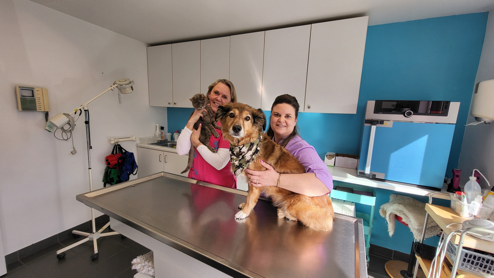 Dierenarts Liesbet Schelle