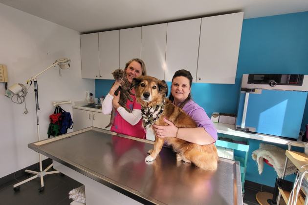 Dierenarts Liesbet viert in Schelle mijlpaal van dertig jaar: “De ‘wachtzaal’ is de grootste evoluti