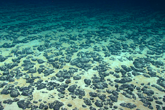 Polymetaalknollen DEME