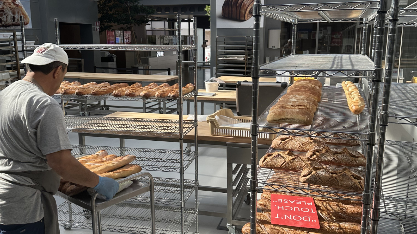 FLEMISH BRABANT VISIT BAKERY PURATOS