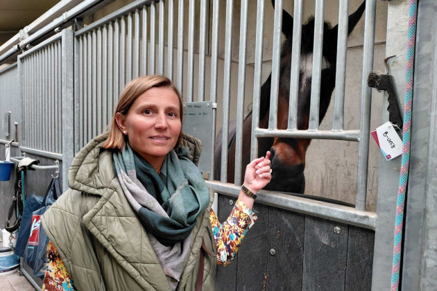 bedrijf uit Zuienkerke – paarden qatar