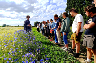 Het bedrijf werkt samen met vijf boeren uit heel Vlaanderen