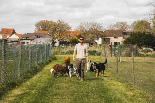 Hondencoaching-Somers-Hondenhotel-14-scaled
